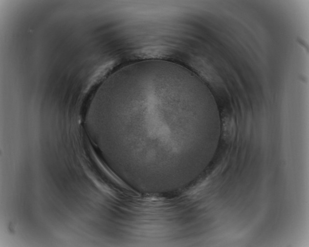 X0000097890254200803141339