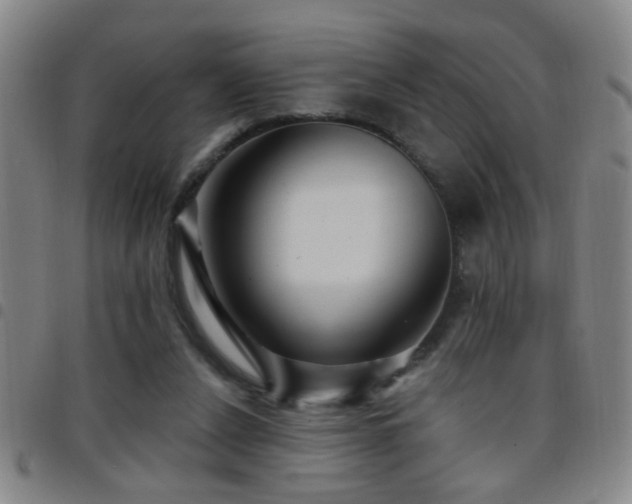 X0000097890256200803141339