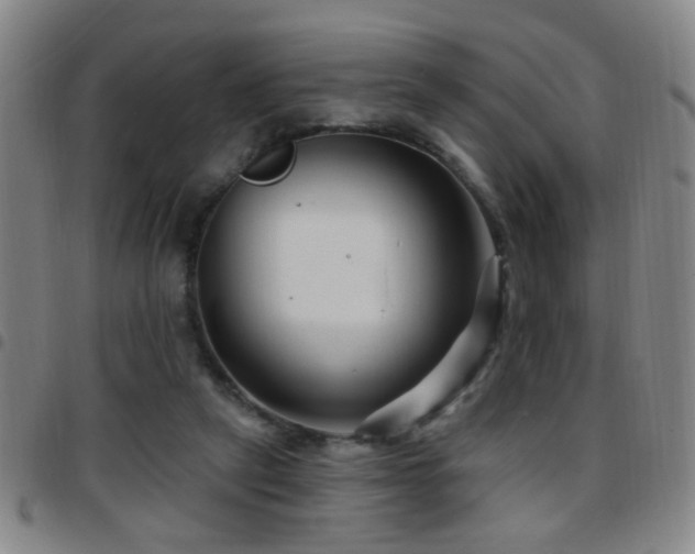 X0000097890257200803141339