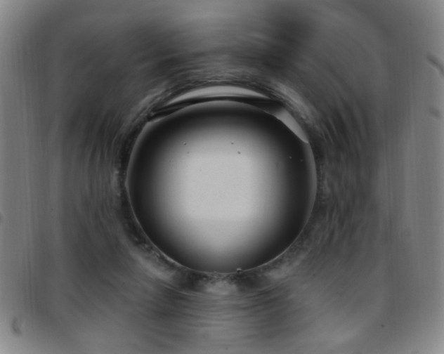 X0000097890258200803141339