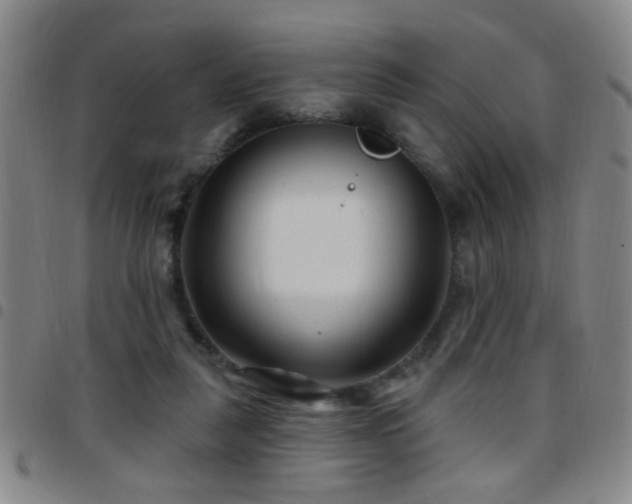 X0000097890259200803141339