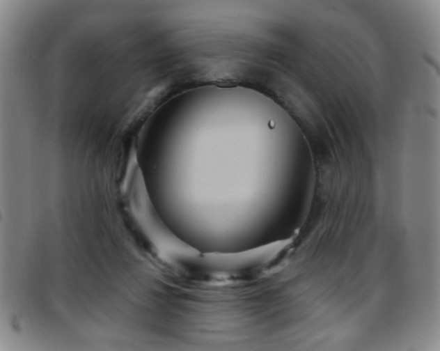 X0000097890260200803141339