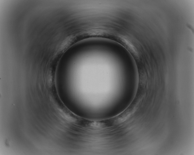 X0000097890261200803141339