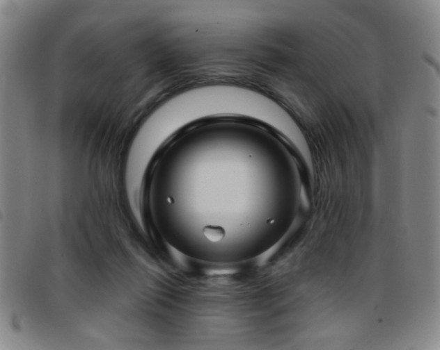 X0000097890262200803141339