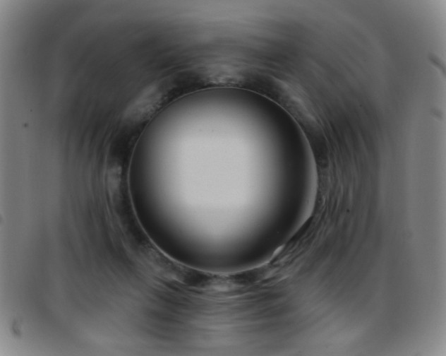 X0000097890263200803141339