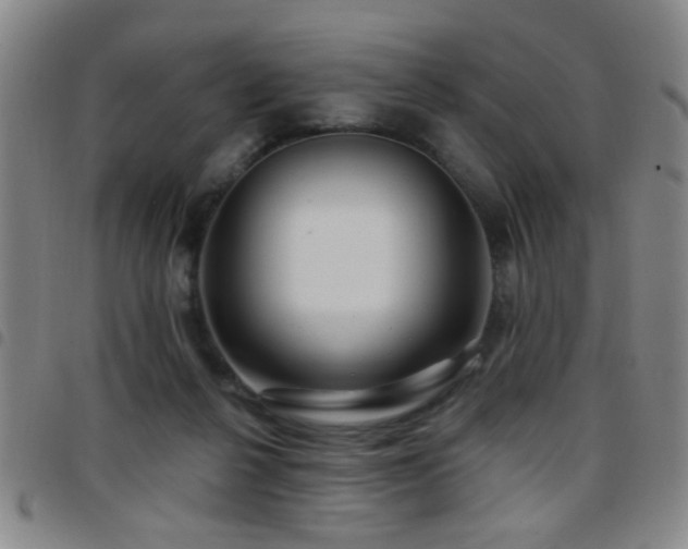 X0000097890264200803141339
