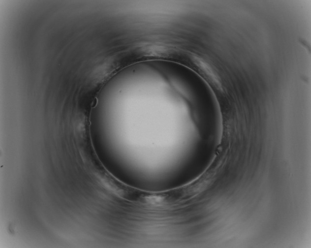 X0000097890265200803141339