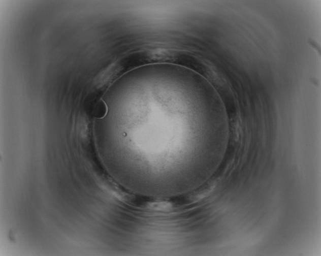 X0000097890266200803141339