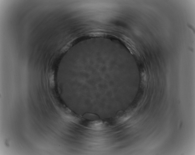 X0000097890267200803141339