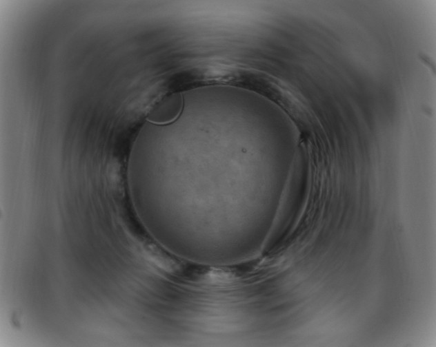 X0000097890270200803141339