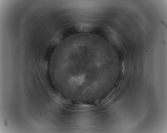 X0000097890271200803141339