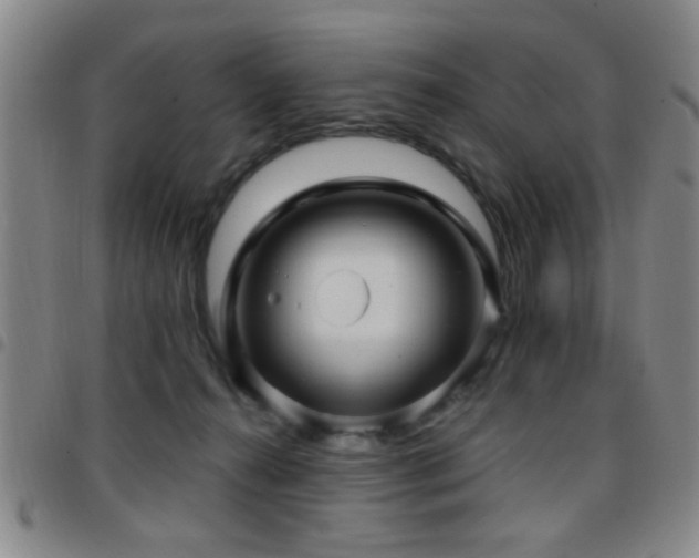 X0000097890272200803141339