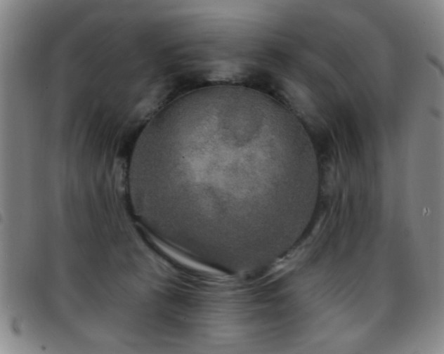 X0000097890273200803141339