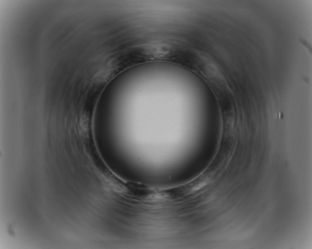 X0000097890274200803141339
