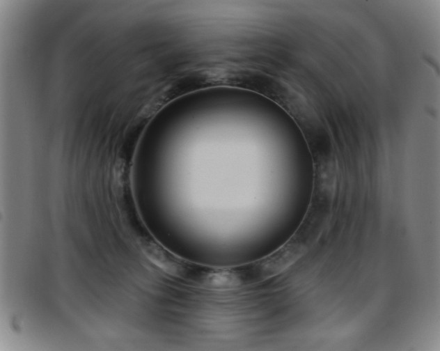 X0000097890275200803141339