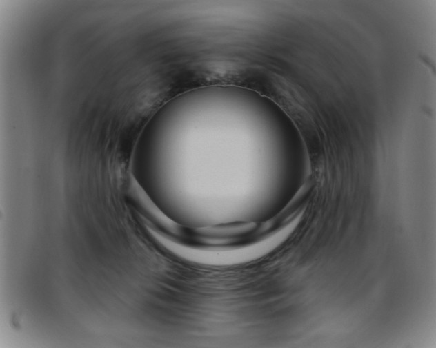 X0000097890276200803141339
