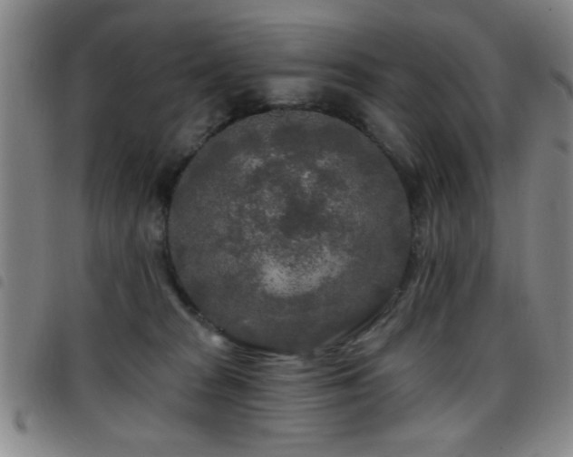 X0000097890277200803141339