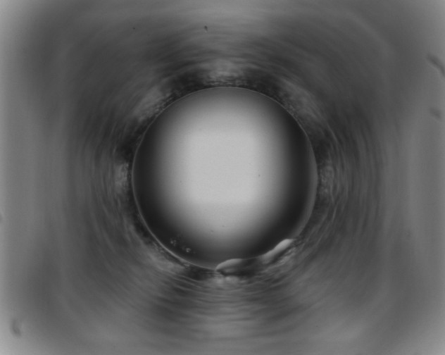 X0000097890278200803141339