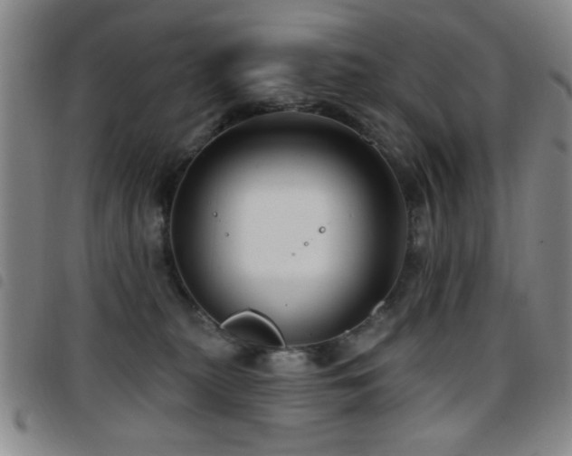 X0000097890279200803141339