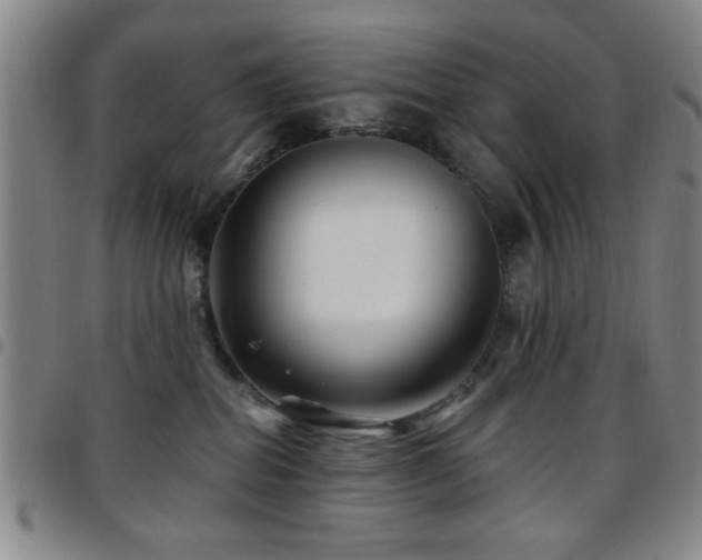 X0000097890282200803141339