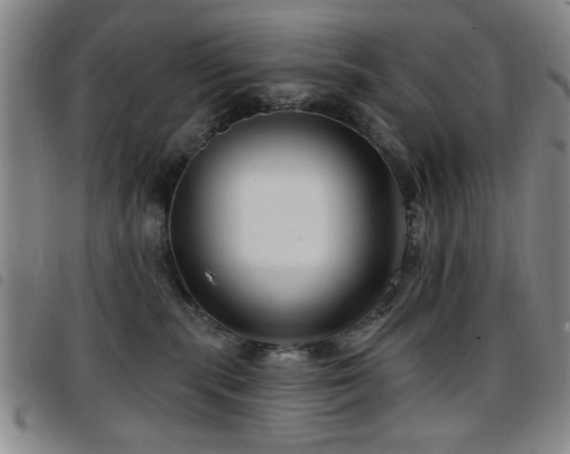 X0000097890283200803141339