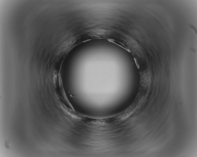 X0000097890284200803141339