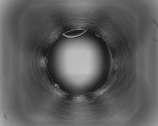 X0000097890286200803141339