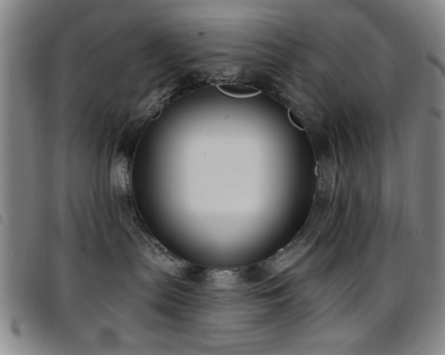 X0000097890287200803141339