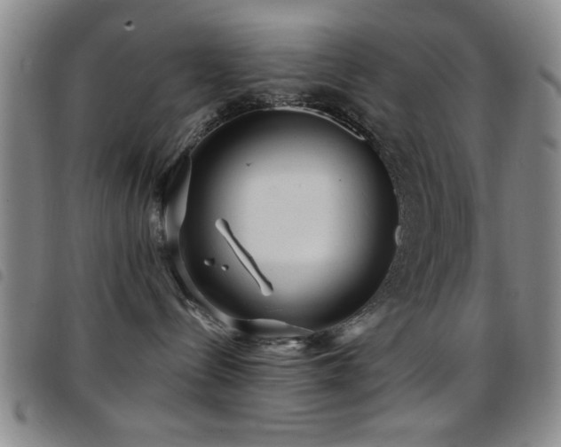 X0000097890288200803141339