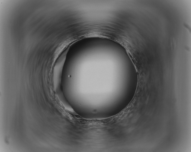 X0000097890289200803141339
