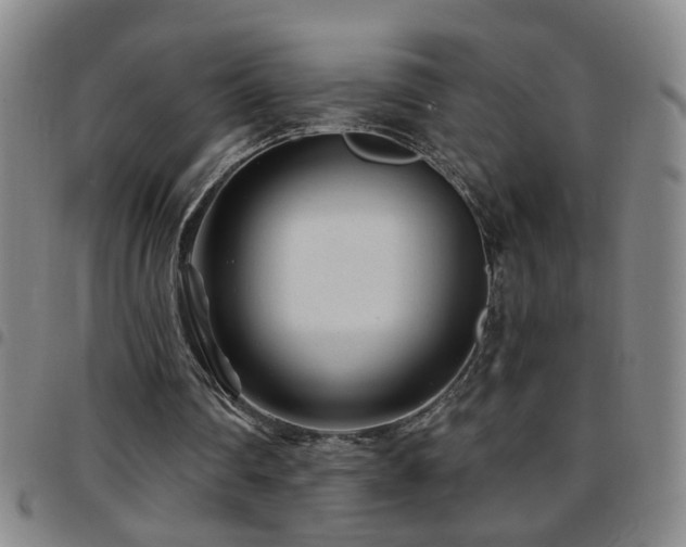 X0000097890290200803141339
