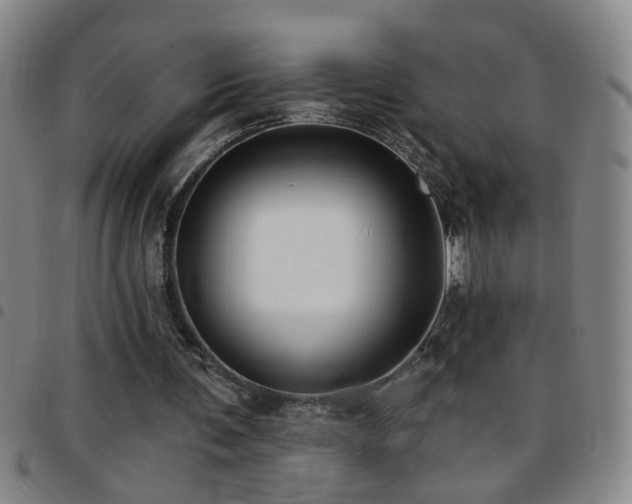 X0000097890291200803141339