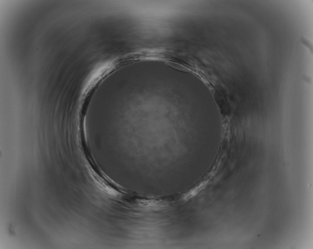 X0000097890293200803141339