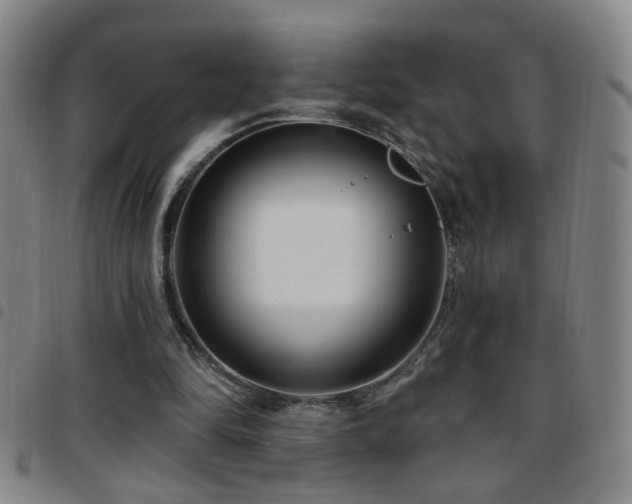 X0000097890294200803141339