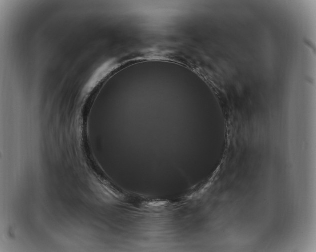 X0000097890295200803141339
