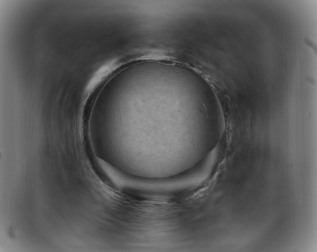 X0000097890296200803141339