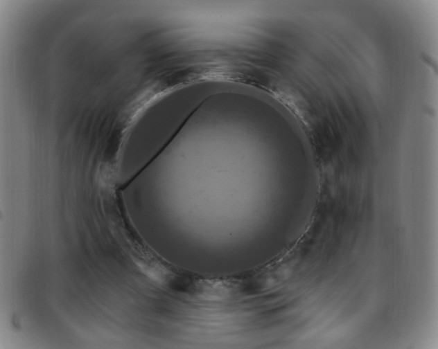 X0000097890297200803141339