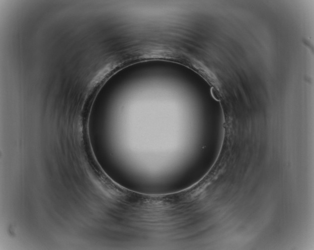 X0000097890298200803141339