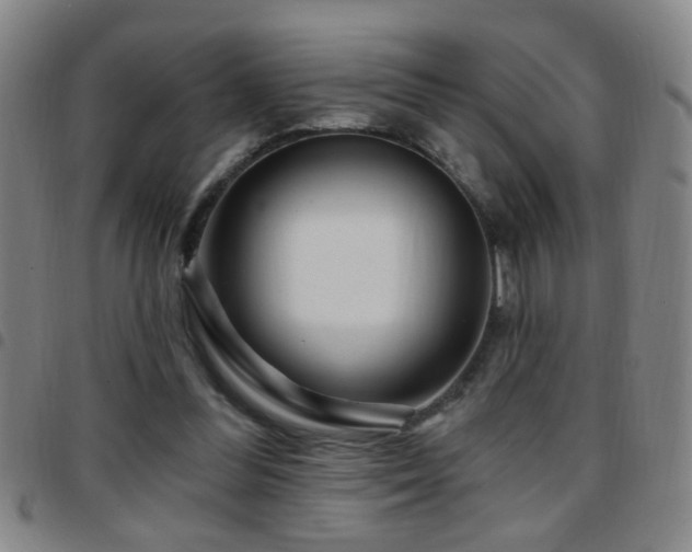 X0000097890300200803141339