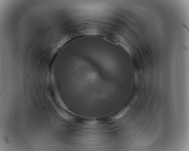 X0000097890301200803141339