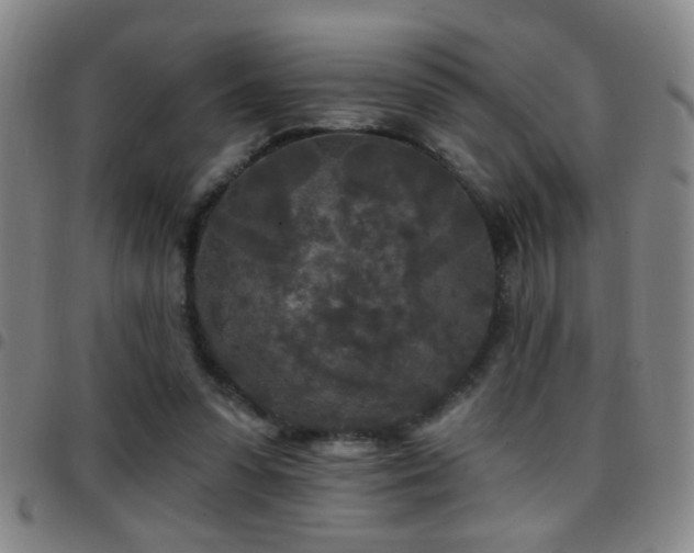 X0000097890303200803141339