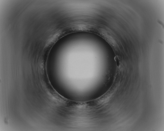 X0000097890306200803141339