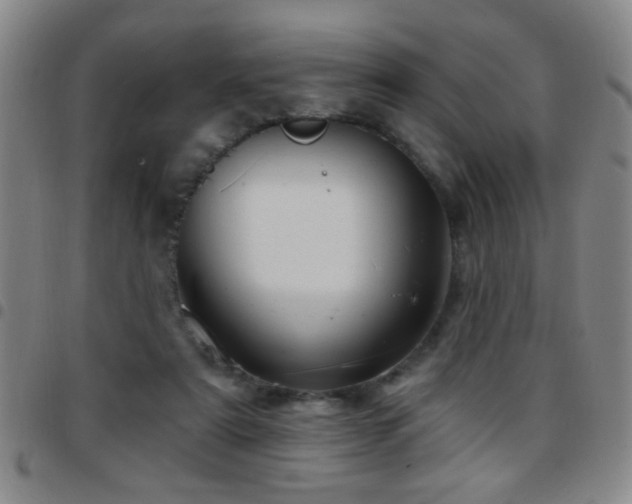 X0000097890307200803141339