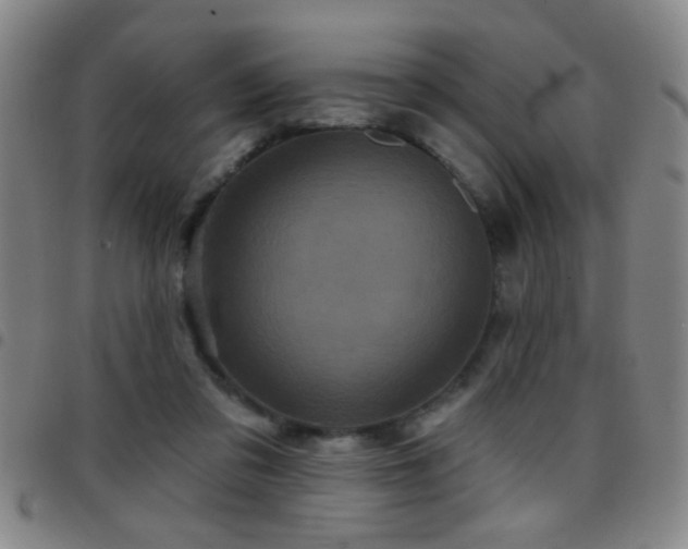 X0000097890309200803141339