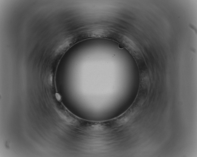 X0000097890310200803141339