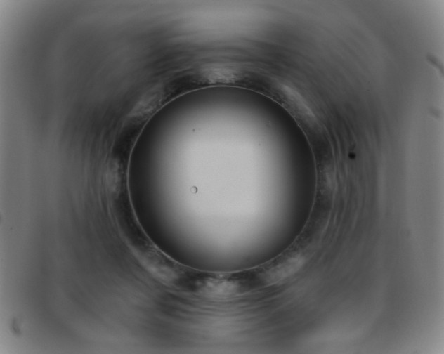 X0000097890311200803141339