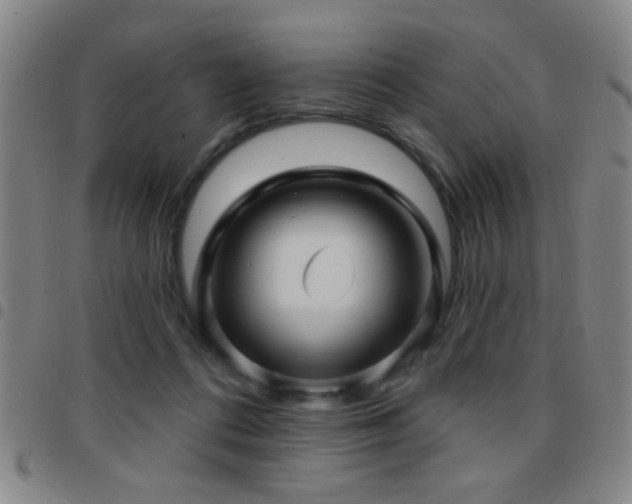 X0000097890312200803141339