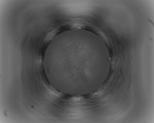 X0000097890314200803141339