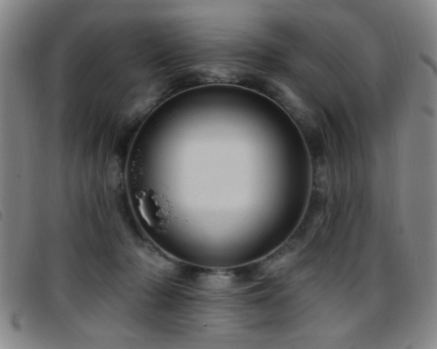 X0000097890318200803141338