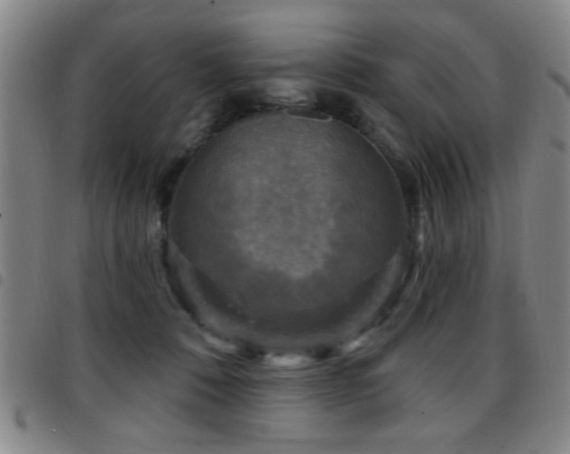 X0000097890320200803141338